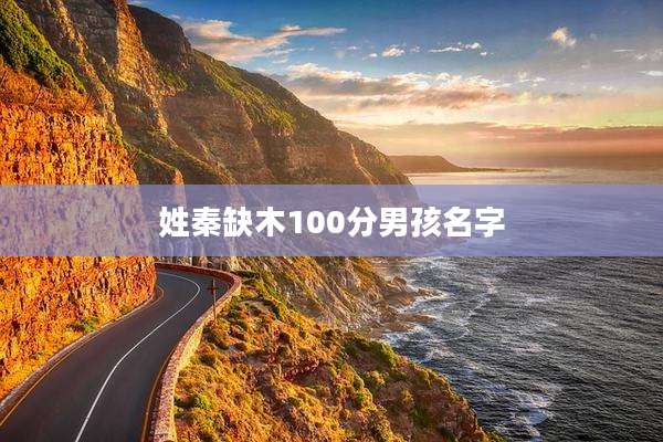 姓秦缺木100分男孩名字