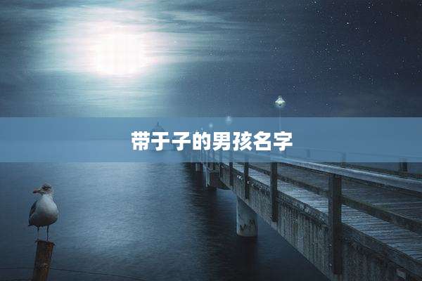 带于子的男孩名字