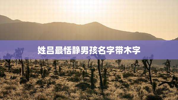 姓吕最恬静男孩名字带木字