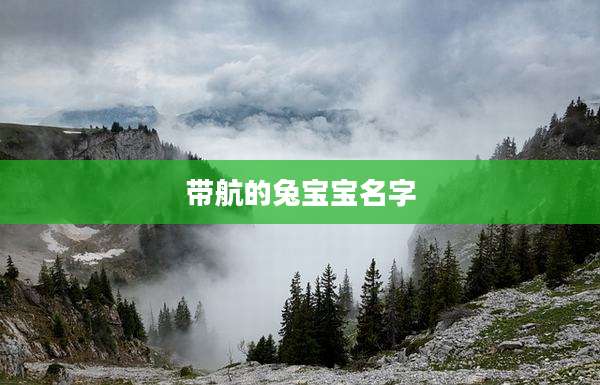 带航的兔宝宝名字