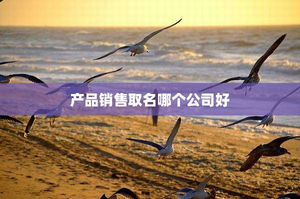 产品销售取名哪个公司好