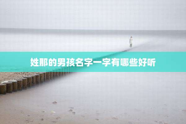 姓那的男孩名字一字有哪些好听