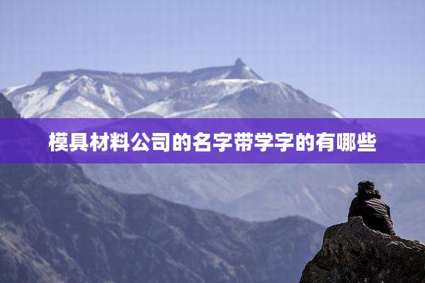 模具材料公司的名字带学字的有哪些