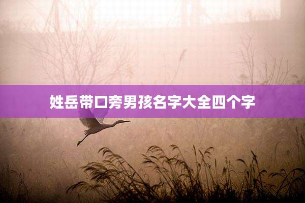 姓岳带口旁男孩名字大全四个字