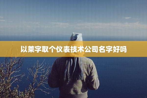 以莱字取个仪表技术公司名字好吗