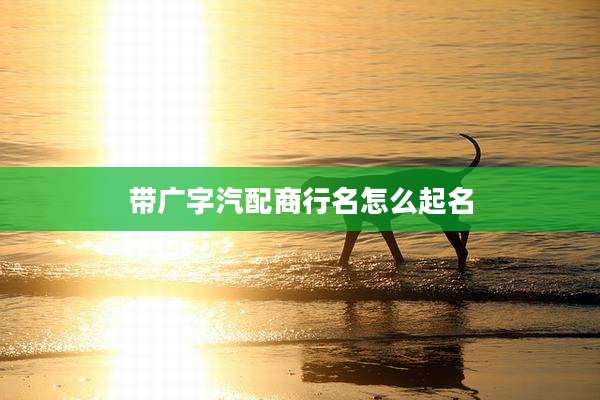 带广字汽配商行名怎么起名