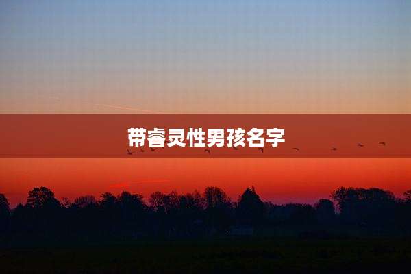 带睿灵性男孩名字