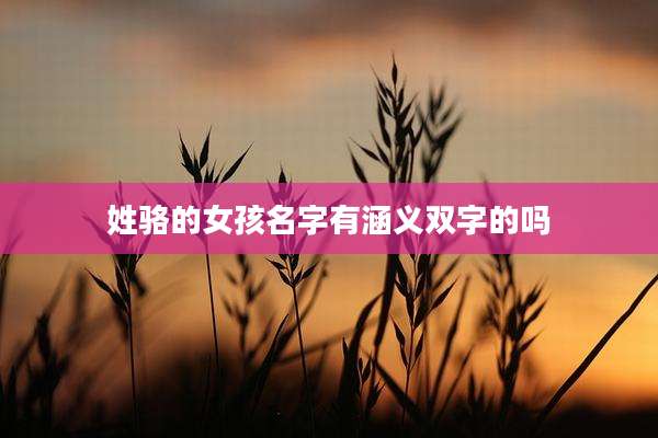 姓骆的女孩名字有涵义双字的吗