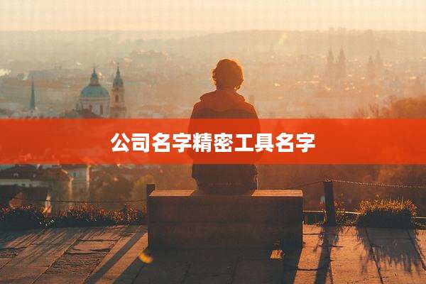 公司名字精密工具名字