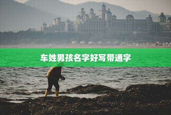 车姓男孩名字好写带通字