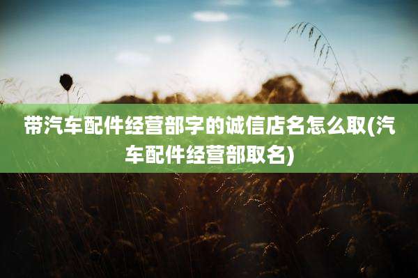 带汽车配件经营部字的诚信店名怎么取(汽车配件经营部取名)