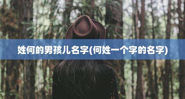 姓何的男孩儿名字(何姓一个字的名字)
