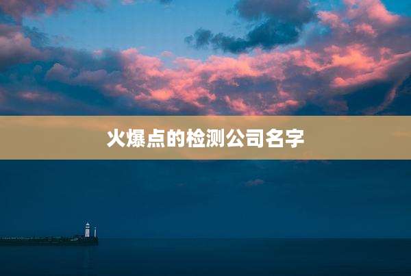 火爆点的检测公司名字