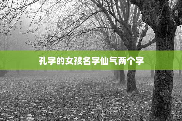 孔字的女孩名字仙气两个字