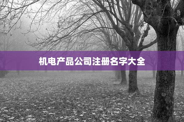 机电产品公司注册名字大全