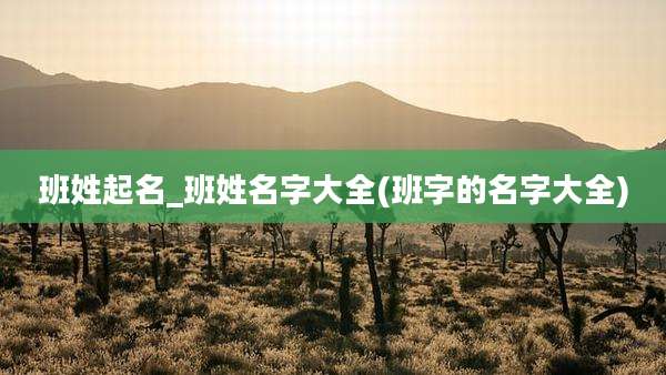 班姓起名_班姓名字大全(班字的名字大全)