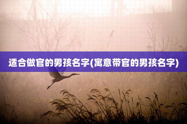 适合做官的男孩名字(寓意带官的男孩名字)
