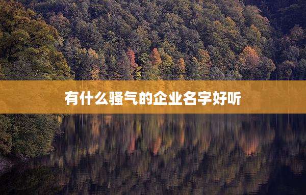 有什么骚气的企业名字好听