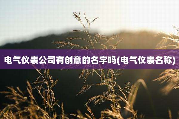 电气仪表公司有创意的名字吗(电气仪表名称)
