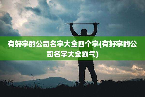 有好字的公司名字大全四个字(有好字的公司名字大全霸气)