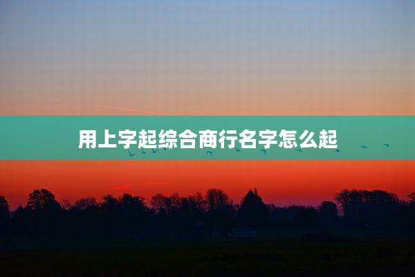 用上字起综合商行名字怎么起