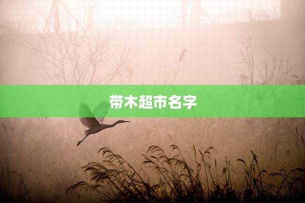 带木超市名字