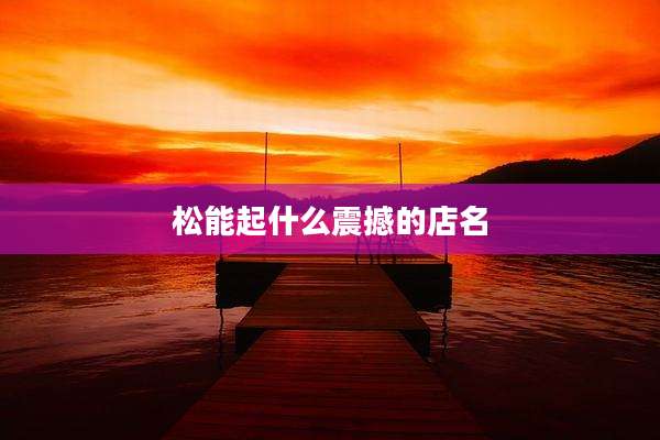 松能起什么震撼的店名