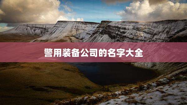 警用装备公司的名字大全