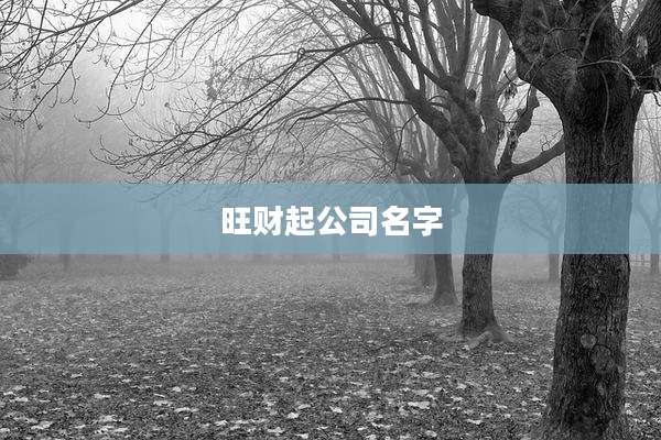 旺财起公司名字