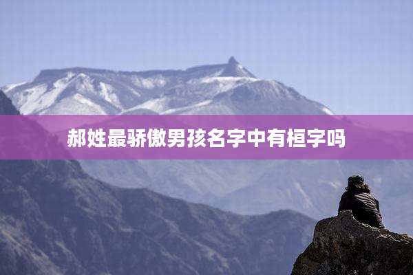 郝姓最骄傲男孩名字中有桓字吗