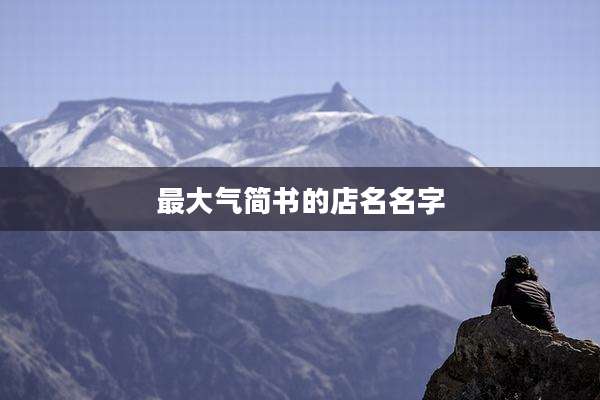 最大气简书的店名名字