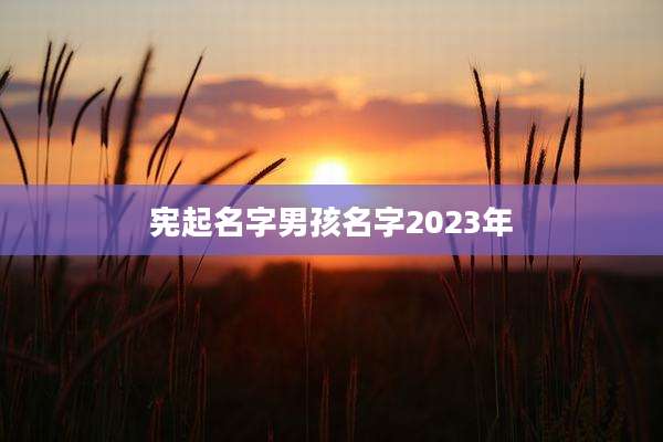 宪起名字男孩名字2023年