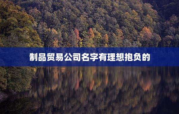 制品贸易公司名字有理想抱负的