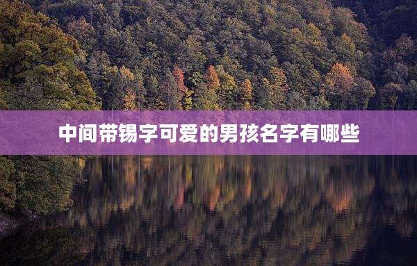 中间带锡字可爱的男孩名字有哪些