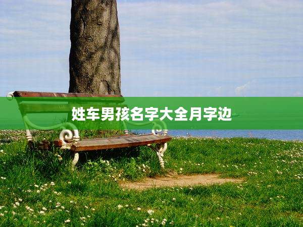姓车男孩名字大全月字边