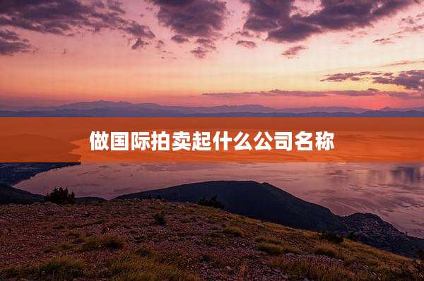 做国际拍卖起什么公司名称