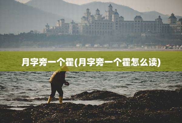 月字旁一个霍(月字旁一个霍怎么读)