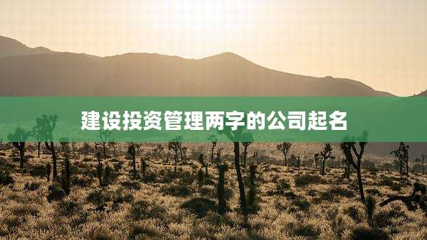 建设投资管理两字的公司起名
