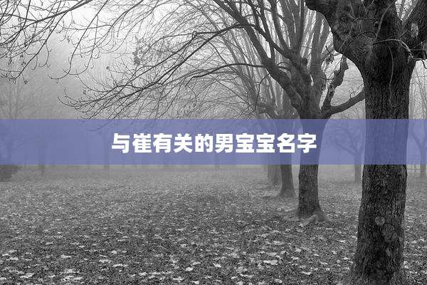 与崔有关的男宝宝名字