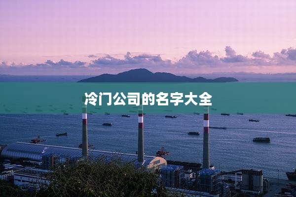 冷门公司的名字大全