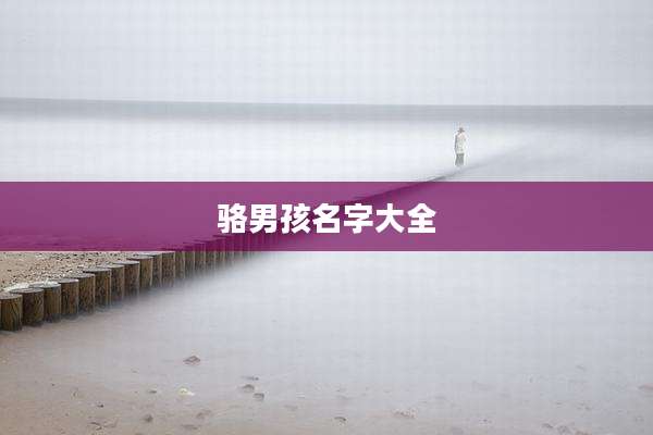 骆男孩名字大全
