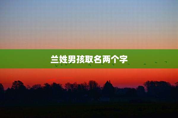 兰姓男孩取名两个字