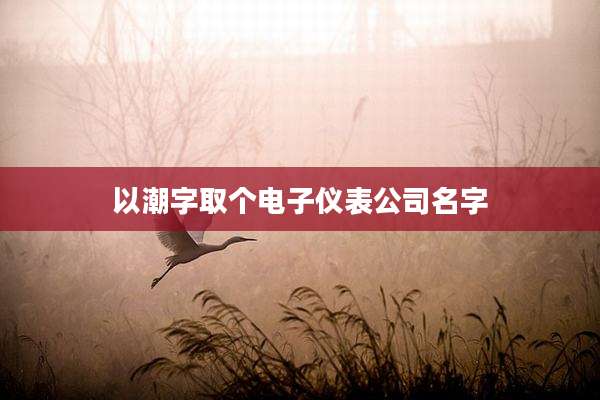 以潮字取个电子仪表公司名字