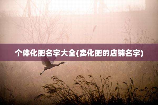 个体化肥名字大全(卖化肥的店铺名字)
