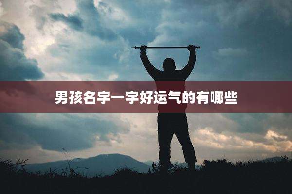 男孩名字一字好运气的有哪些