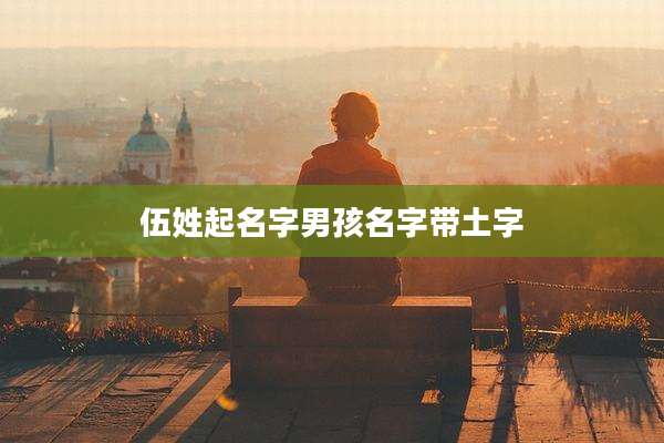 伍姓起名字男孩名字带土字