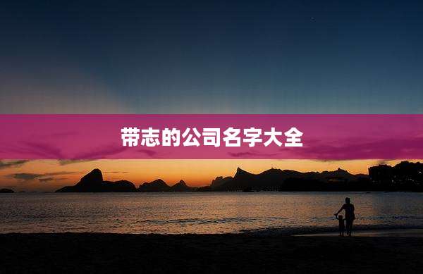 带志的公司名字大全