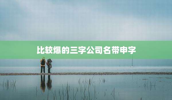 比较爆的三字公司名带申字