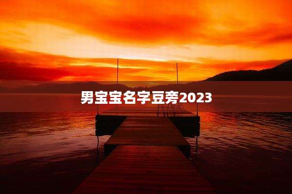 男宝宝名字豆旁2023