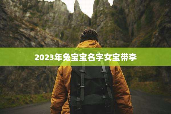 2023年兔宝宝名字女宝带李